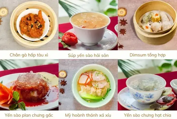 Thức Ăn Cho Cá Ở Nha Trang