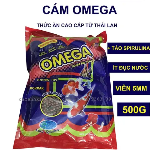 Thức Ăn Cho Cá Vàng Mau Lớn