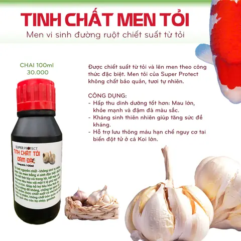 Thức Ăn Của Cá Chép Trong Tự Nhiên