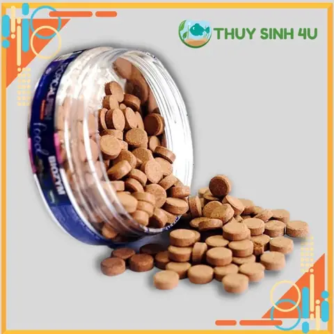 Thức Ăn Dán Hồ Cá