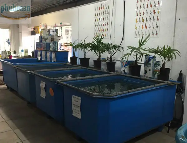 Thùng Nhựa Nuôi Cá Đà Nẵng