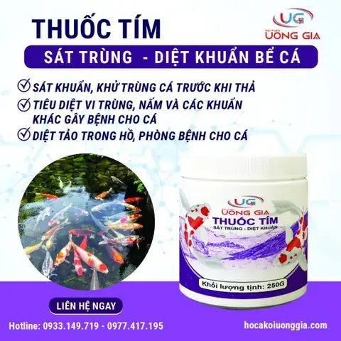 Thuốc Diệt Tảo Hồ Cá Koi