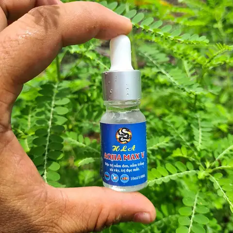 Thuốc Trị Nấm Cho Cá Rồng