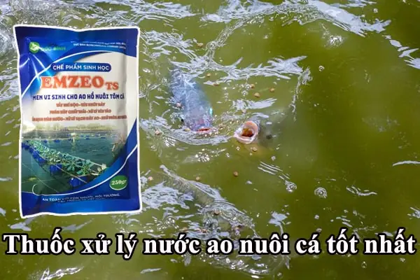 Thuốc Xử Lý Nước Ao Cá