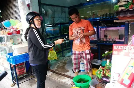 Tiệm Cá Cảnh Đường Nguyễn Thông