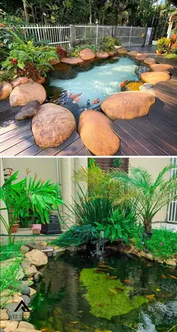 Tiểu Cảnh Hồ Cá Đẹp
