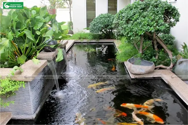 Tiểu Cảnh Hồ Cá Koi