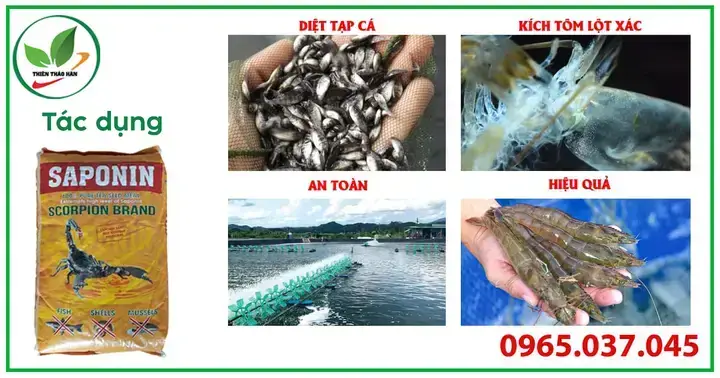Tìm Mua Thuốc Diệt Cá
