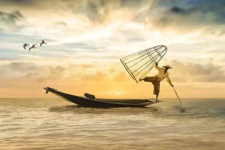 Tóm Tắt Ông Cá Hô
