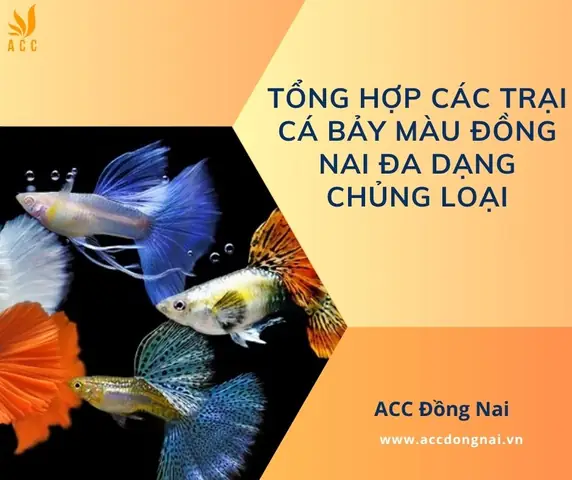 Trại Cá Bảy Màu Đồng Nai