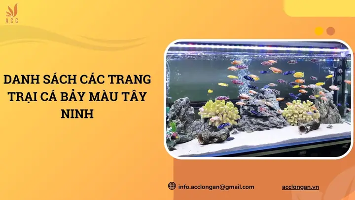 Trại Cá Bảy Màu Tây Ninh