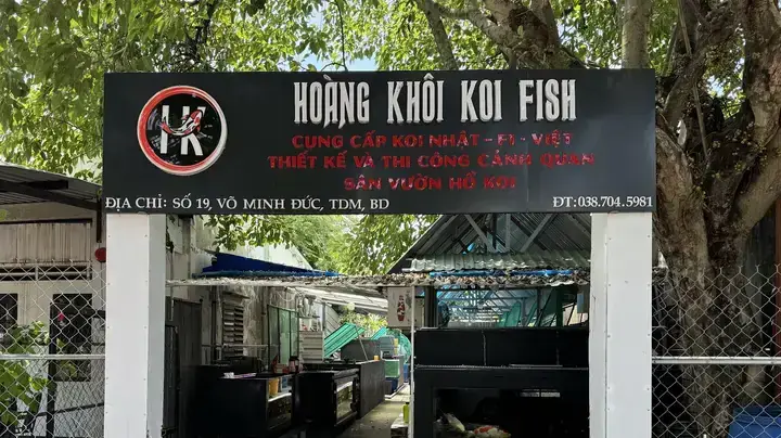 Trại Cá Chép Koi Bình Dương