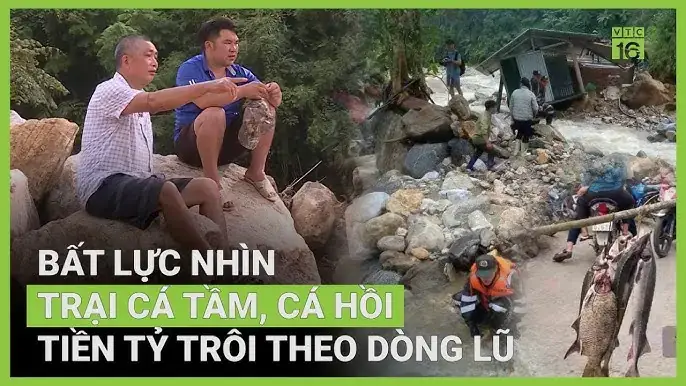 Trại Cá Hoàng Lam