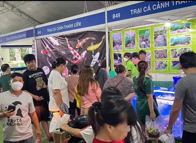Trại Cá Koi Thanh Liêm