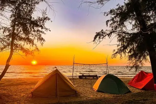 Trại Cá Rồng Hùng Anh
