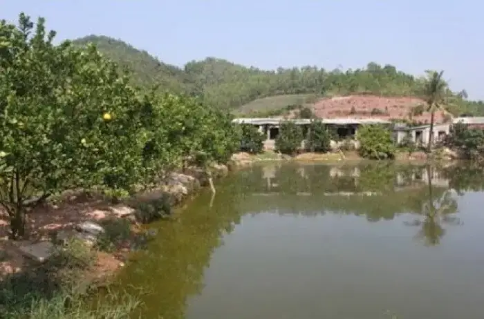 Trang Trại Ao Cá