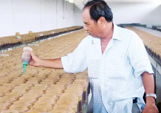 Trang Trại Cá Bảy Màu