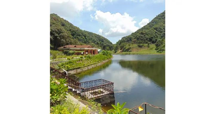 Trang Trại Cá Hồi