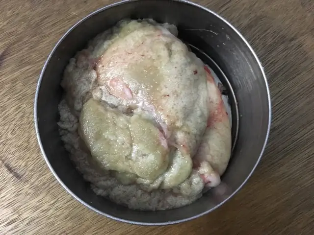 Trứng Cá Chép Non