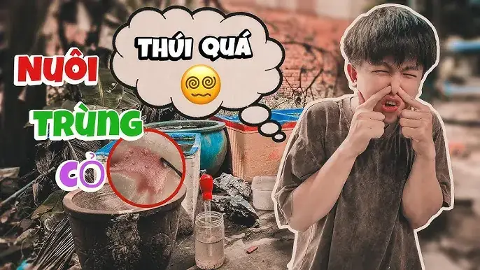 Trùng Cỏ Nuôi Cá