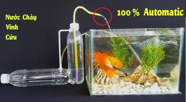 Tự Chế Máy Bơm Nước Hồ Cá