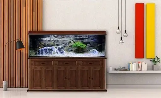 Tự Làm Chân Bể Cá