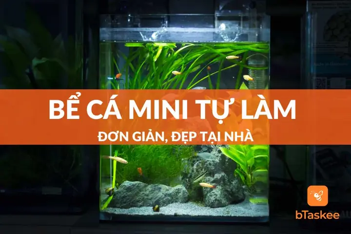 Tự Làm Hồ Cá Mini