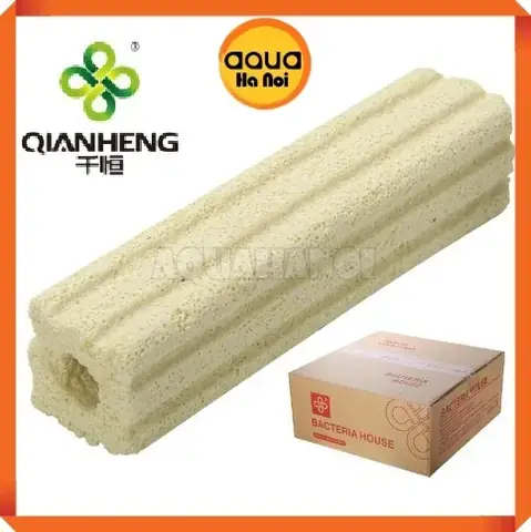 Vật Liệu Lọc Bể Cá Hà Nội
