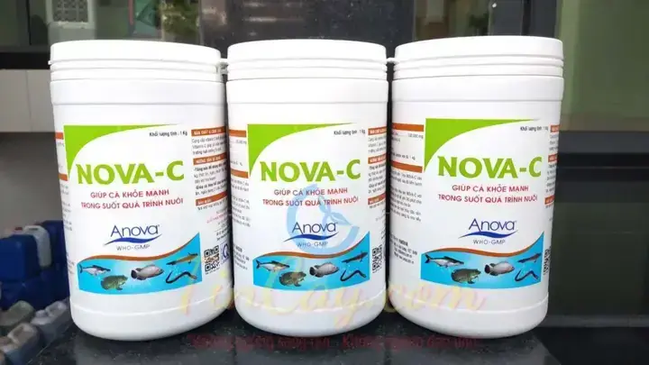 Vitamin C Cho Cá Mua Ở Đâu