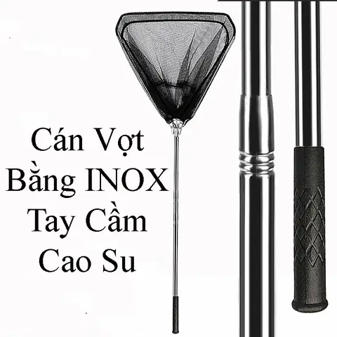 Vợt Cá Tam Giác