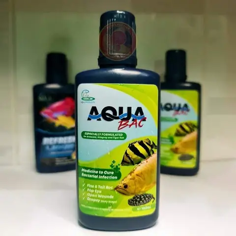 Aqua Bac Cho Cá Rồng