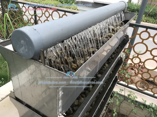 Bakki Dàn Mưa Lọc Hồ Cá