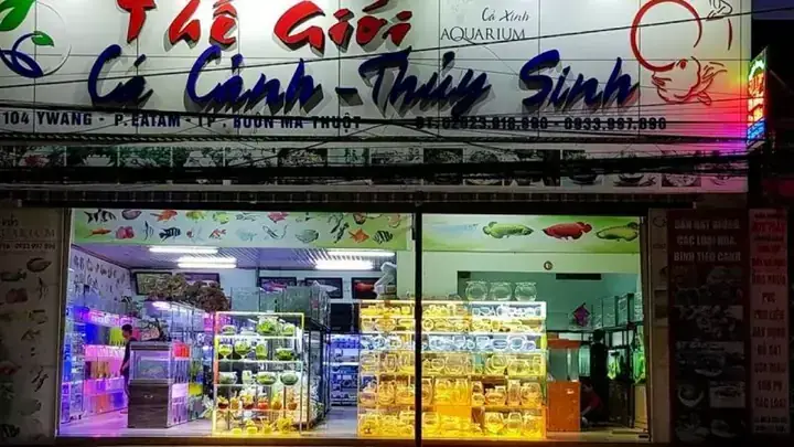 Bán Bể Cá Bmt