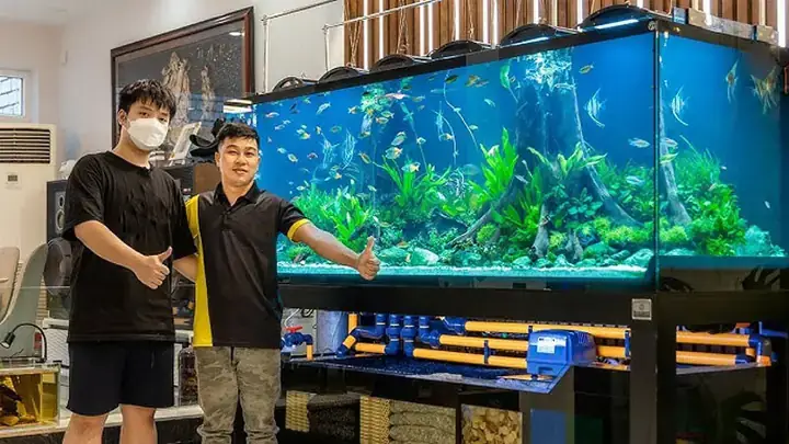 Bán Bể Cá Cảnh Cũ Giá Rẻ Tphcm Bán Bể Cá Cảnh Cũ Giá Rẻ Tphcm