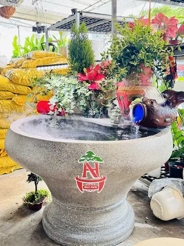 Bán Bể Cá Xi Măng