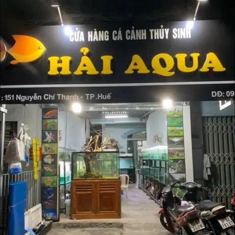 Bán Cá Cảnh Ở Huế