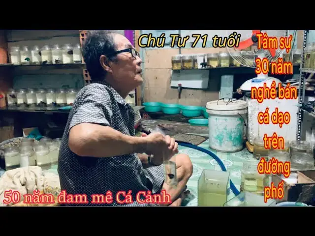 Bán Kệ Và Keo Nuôi Cá Betta