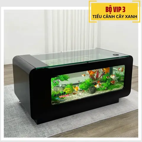 Bàn Sofa Bể Cá