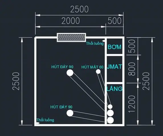 Bản Thiết Kế Hồ Cá Koi