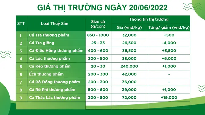 Bảng Giá Thức Ăn Cá Tra Bảng Giá Thức Ăn Cá Tra