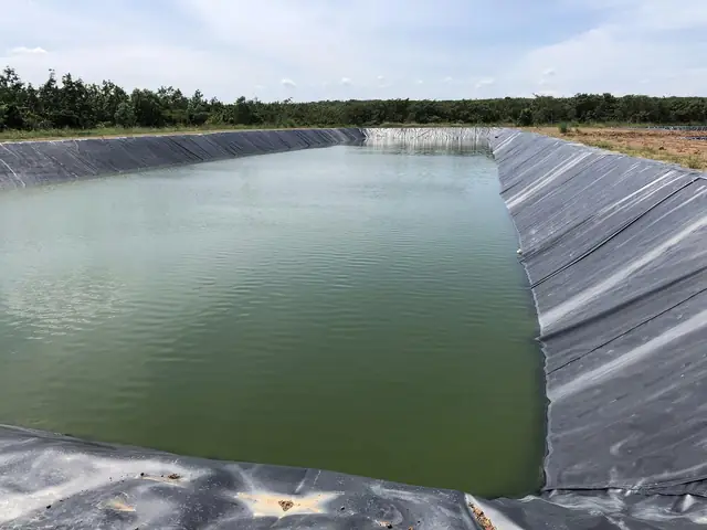 Bạt Lót Hồ Cá Hdpe