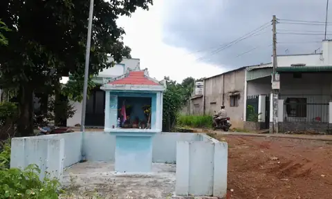 Bàu Cá Ở Đâu