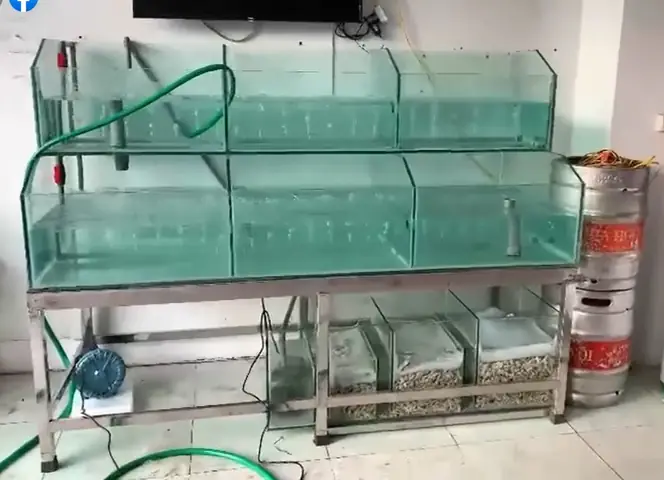 Bể Cá 2 Tầng