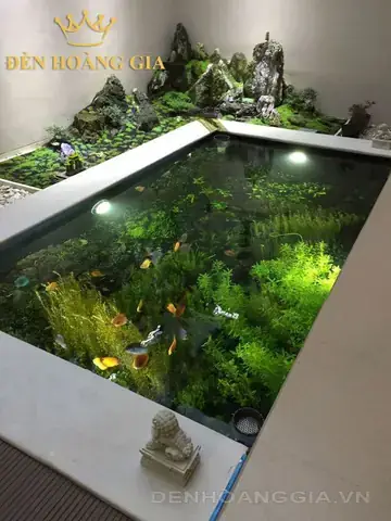 Bể Cá Âm Sàn