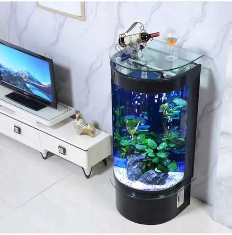 Bể Cá Bán Nguyệt Bể Cá Bán Nguyệt
