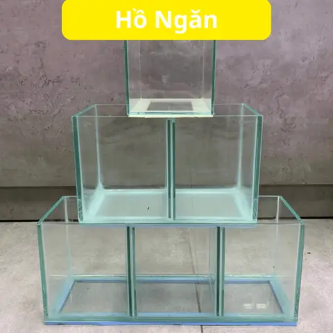 Bể Cá Betta 3 Ngăn