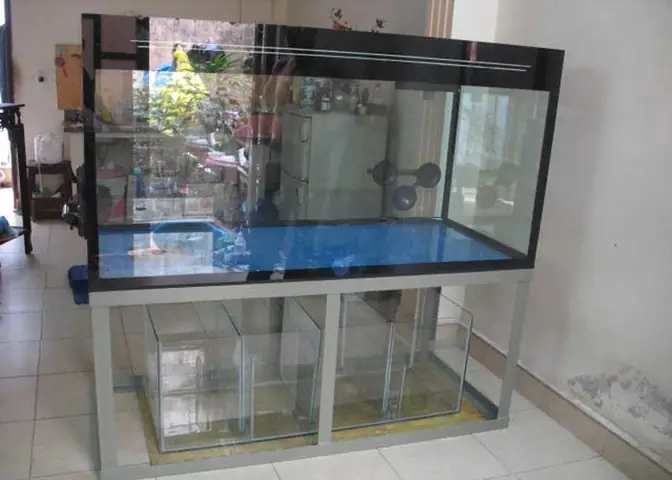Bể Cá Cảnh Bằng Kính Bể Cá Cảnh Bằng Kính
