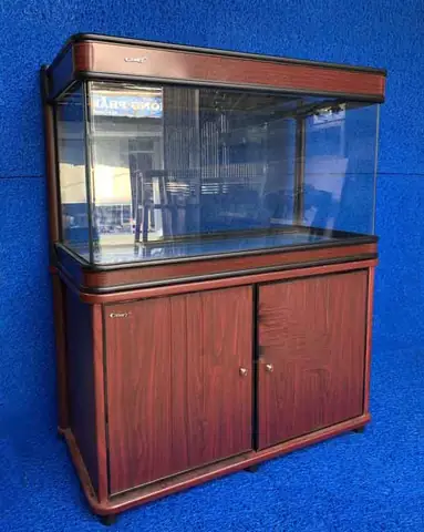 Bể Cá Cảnh Đúc
