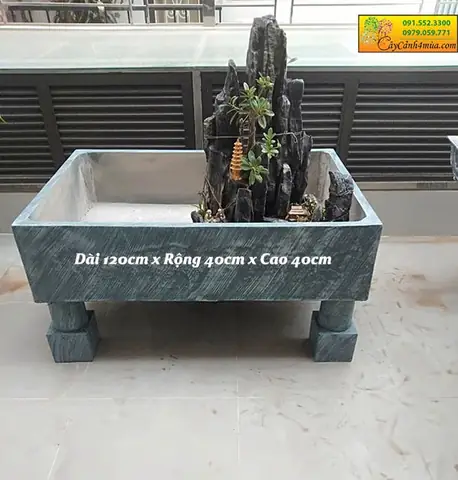Bể Cá Cảnh Xi Măng Bể Cá Cảnh Xi Măng