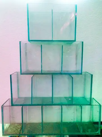 Bể Cá Chọi Nhiều Ngăn